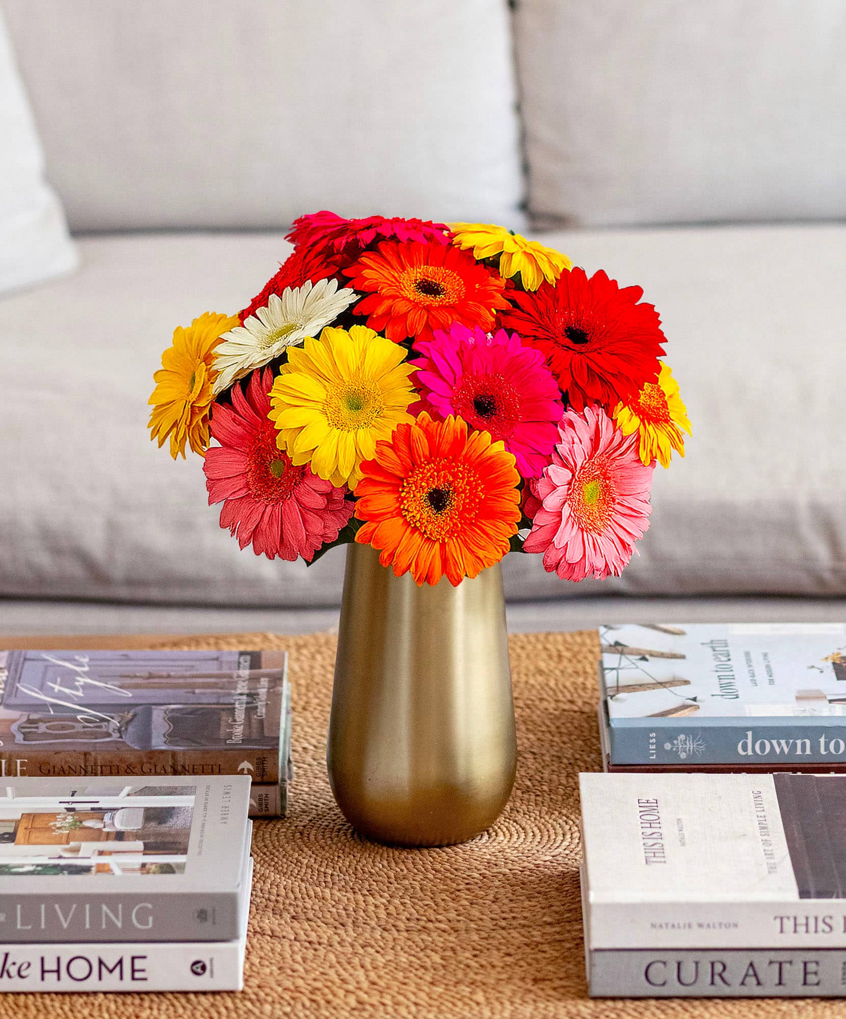 Vibrant mixed gerbera daisy bouquet in a gold vase, brightening up any space.
