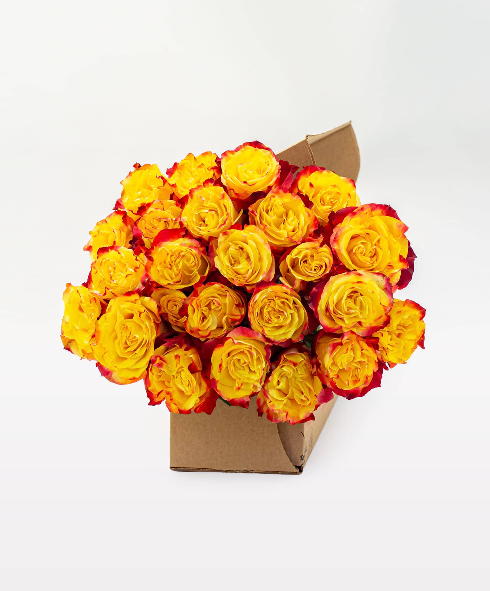 Vibrant yellow roses with red tips arranged in a stylish cardboard box, ideal for gifts.