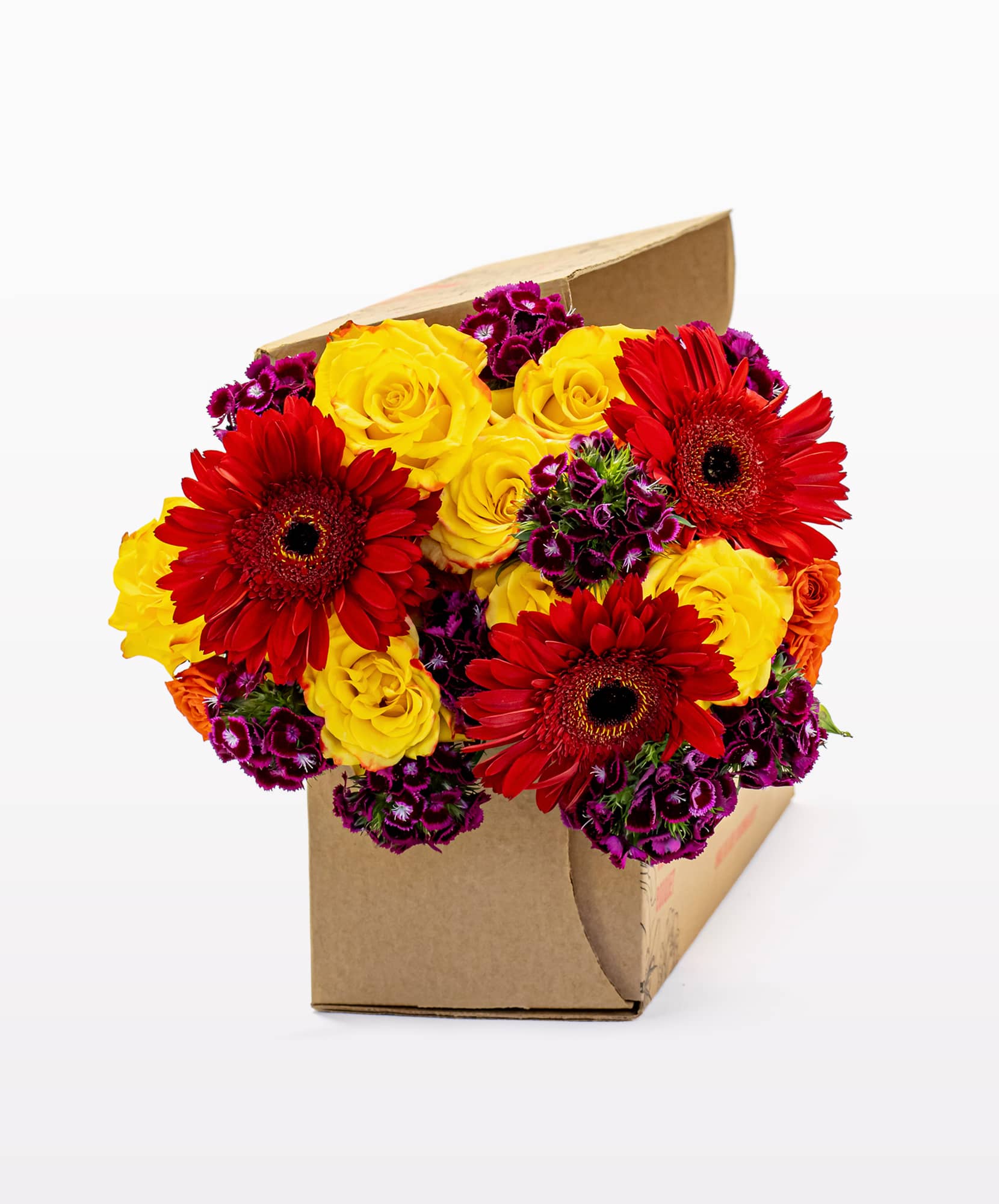 Vibrant floral arrangement with red gerbera daisies and colorful roses in a gift box.